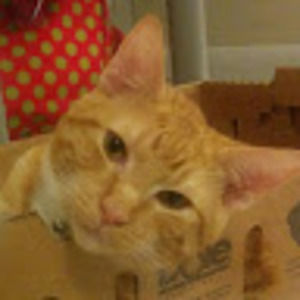 Meet your Posher, Melanie